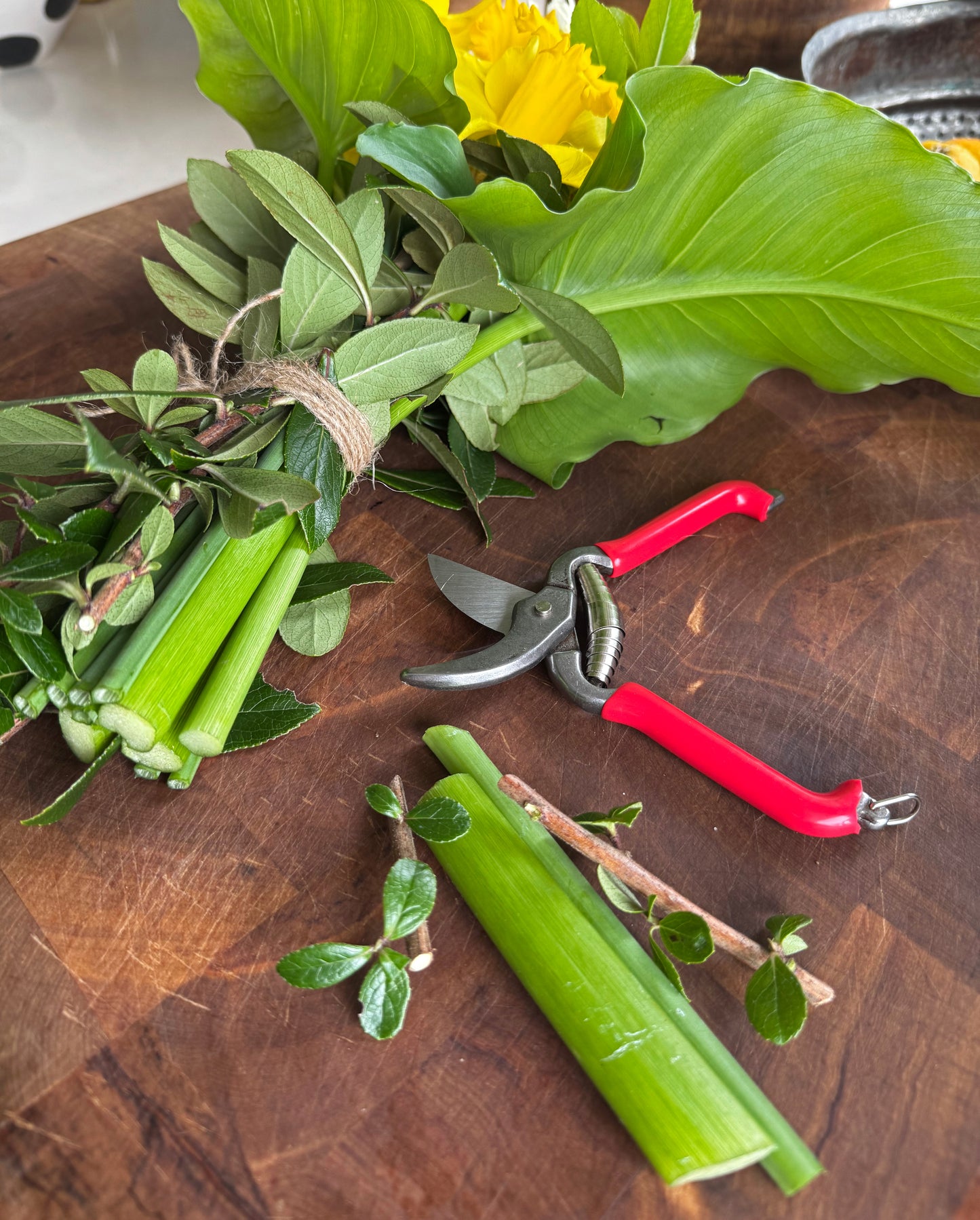 Pruner with Red Handle