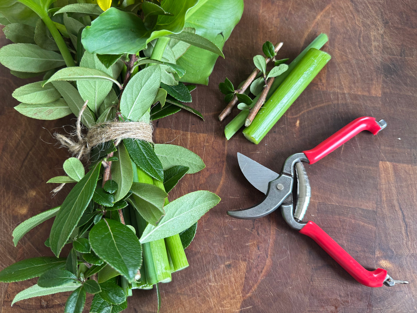 Pruner with Red Handle