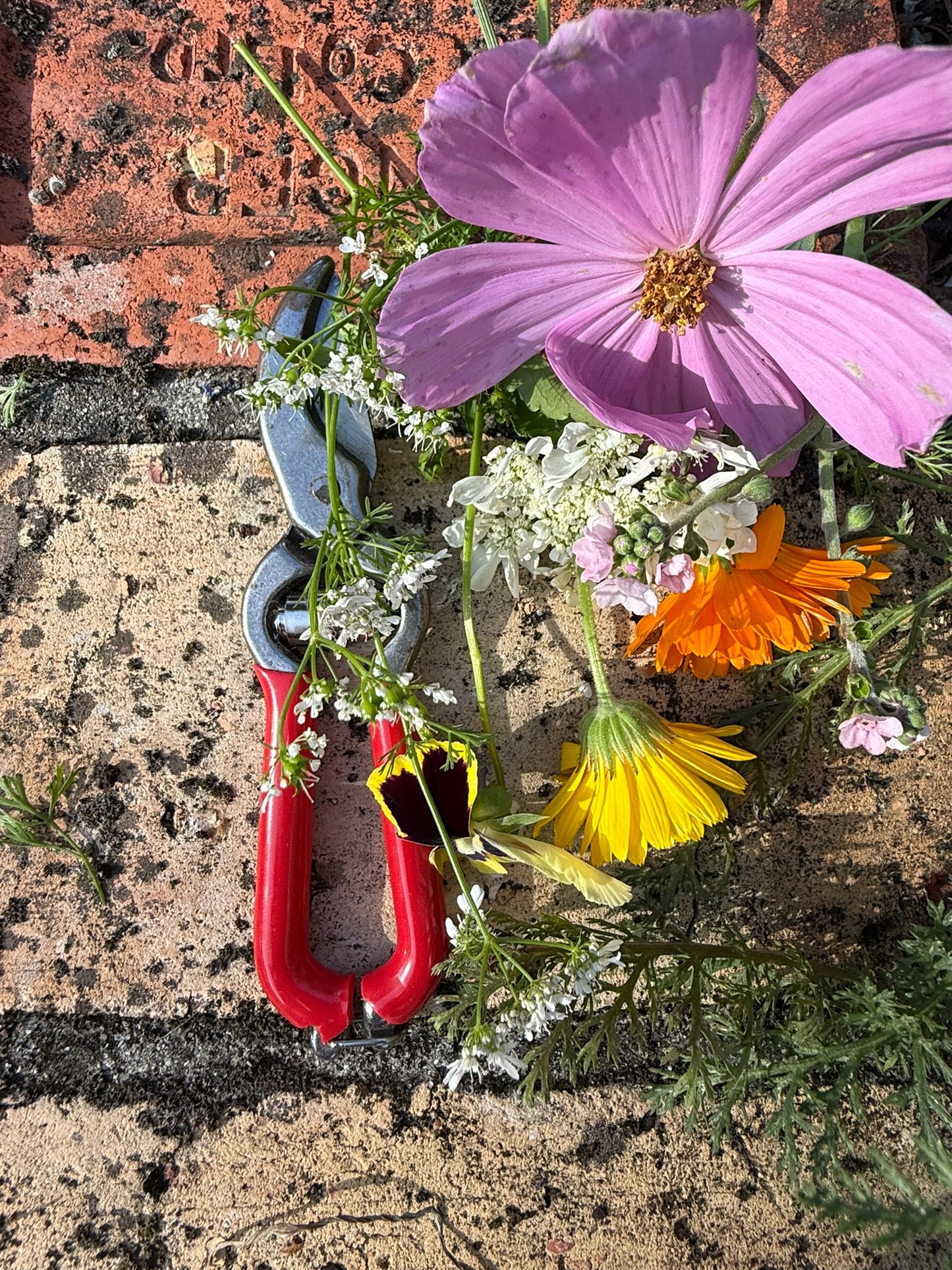 Pruner with Red Handle