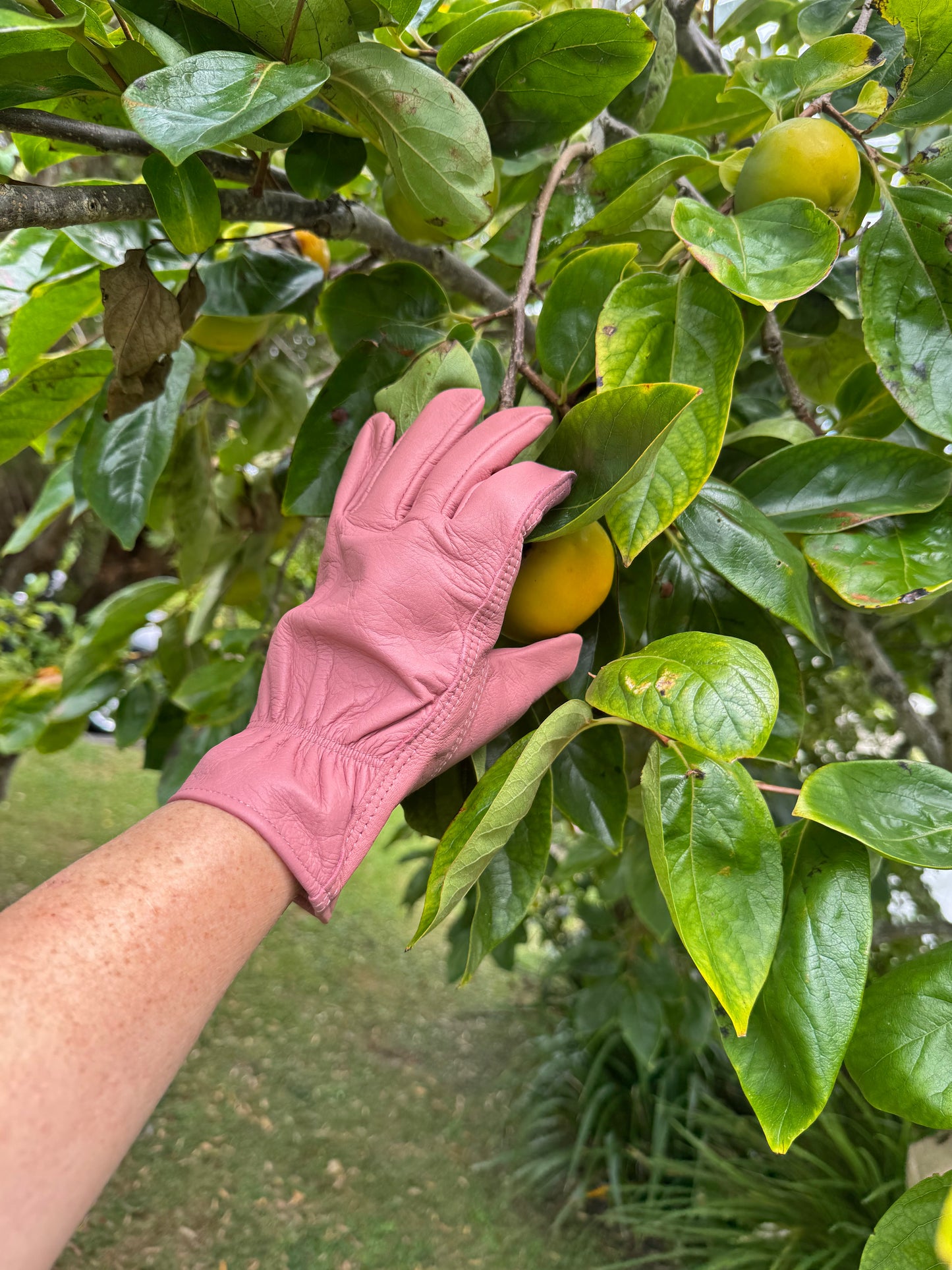 Leather Gardening Gloves Pink Medium