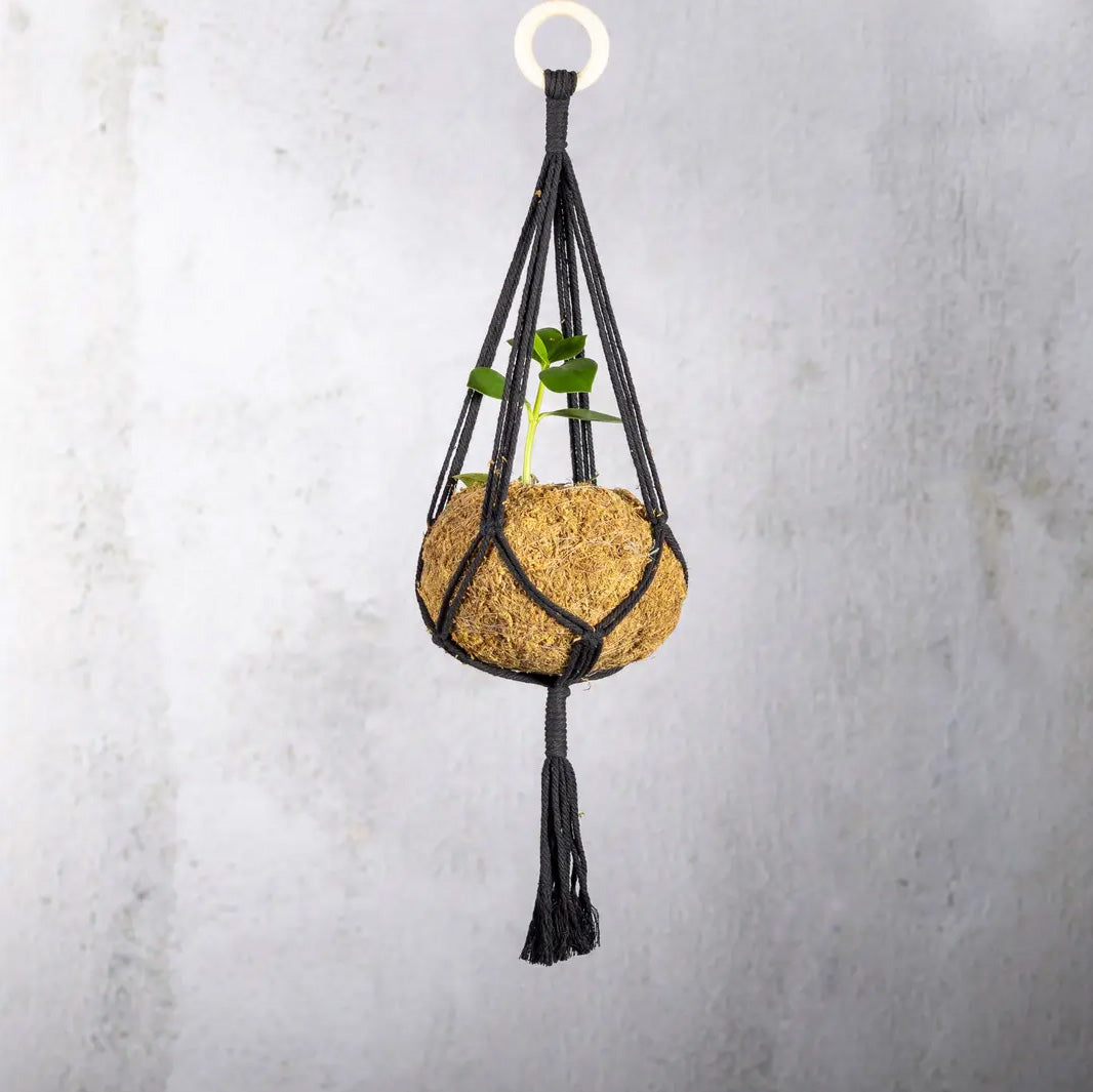 Macramé Plant Hanger Black 15cm