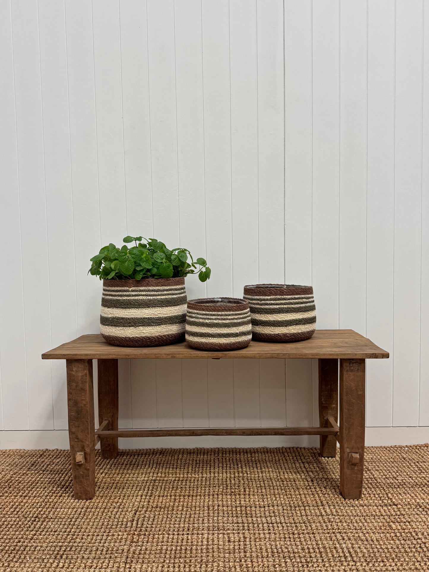 Eloise Bulb Basket Olive - Small