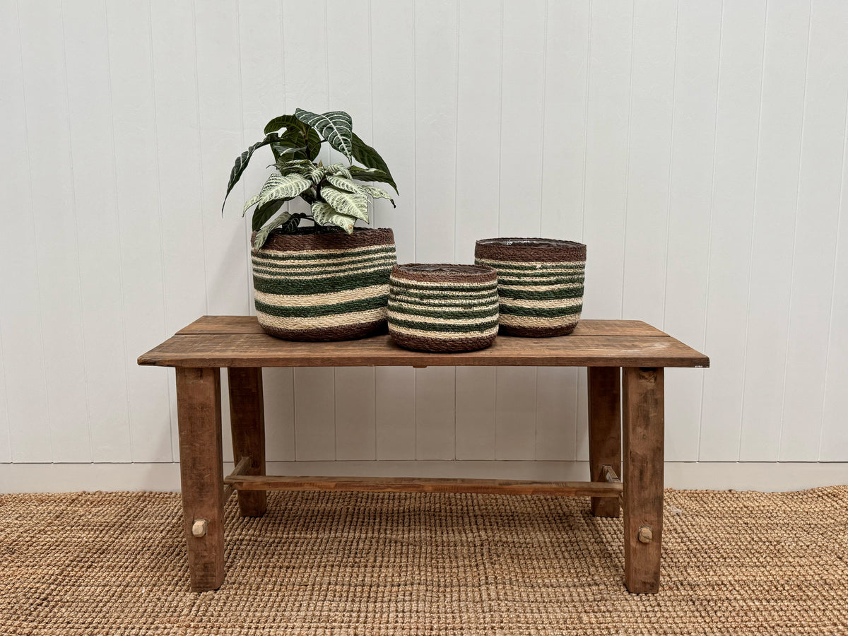 Eloise Bulb Basket Olive - Medium