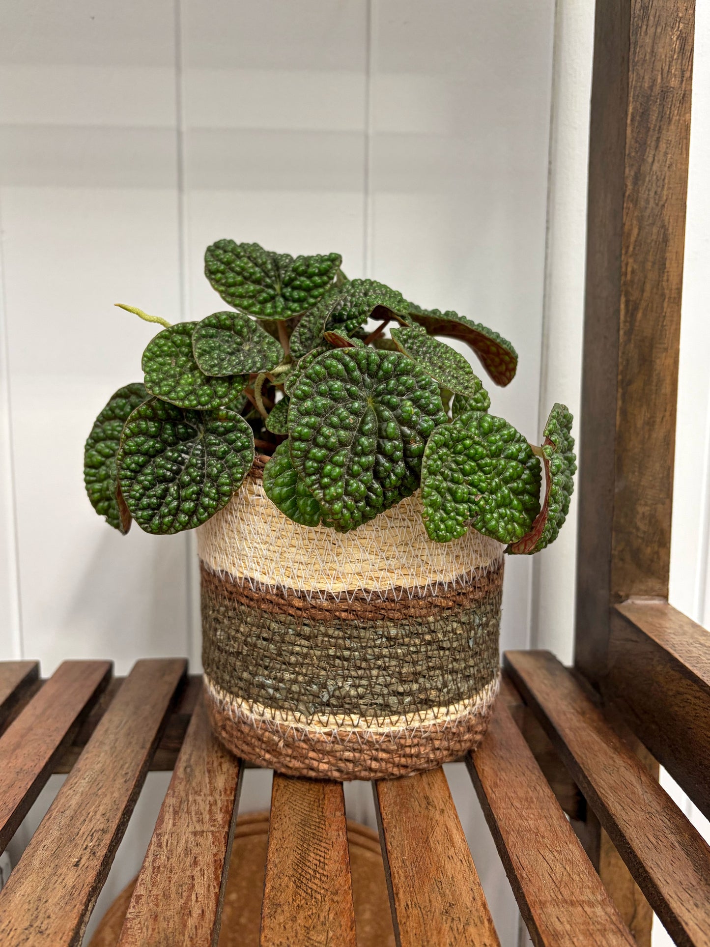 Eloise Planter Basket Olive - Extra Small