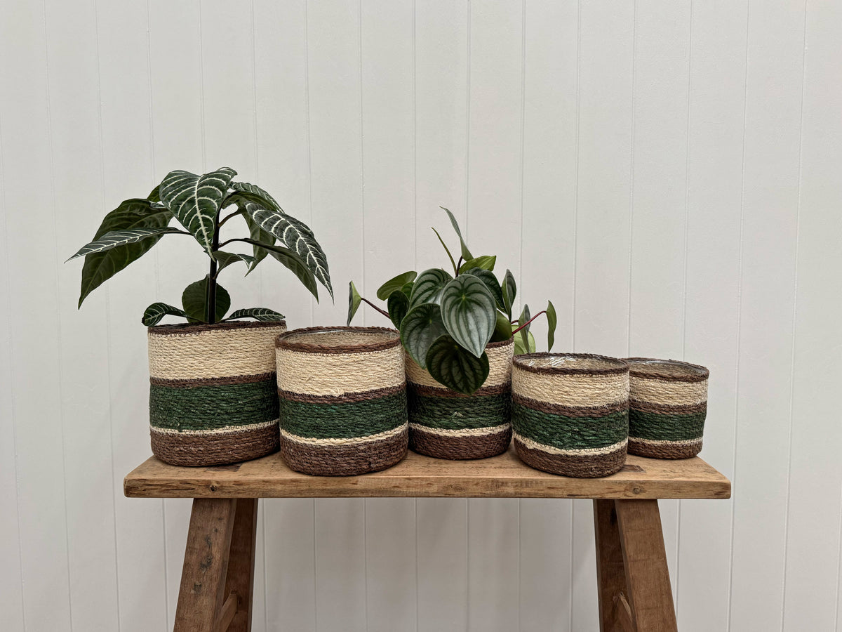Eloise Planter Basket Olive - Extra Small