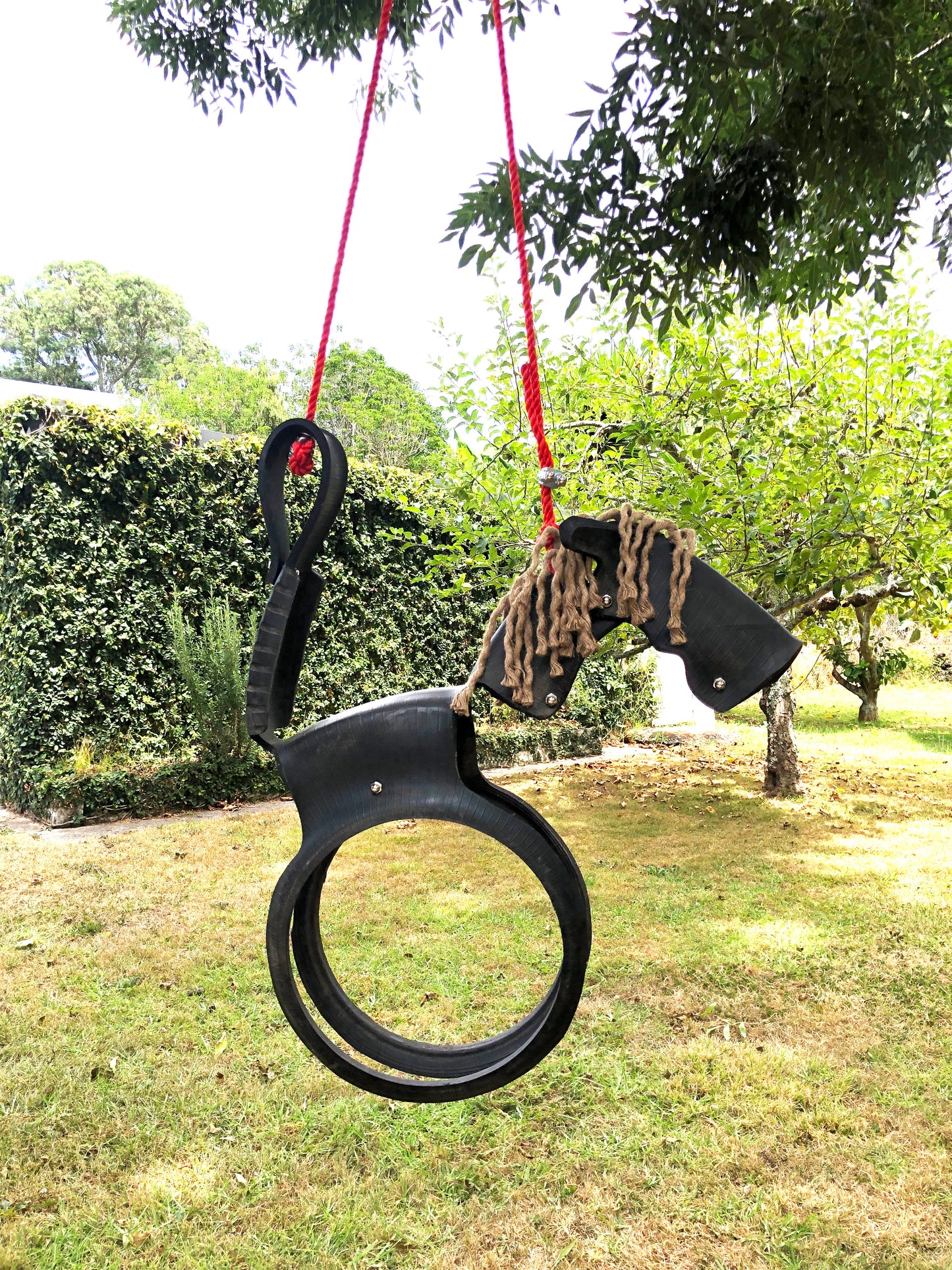 Horse Swing Recycled Tire