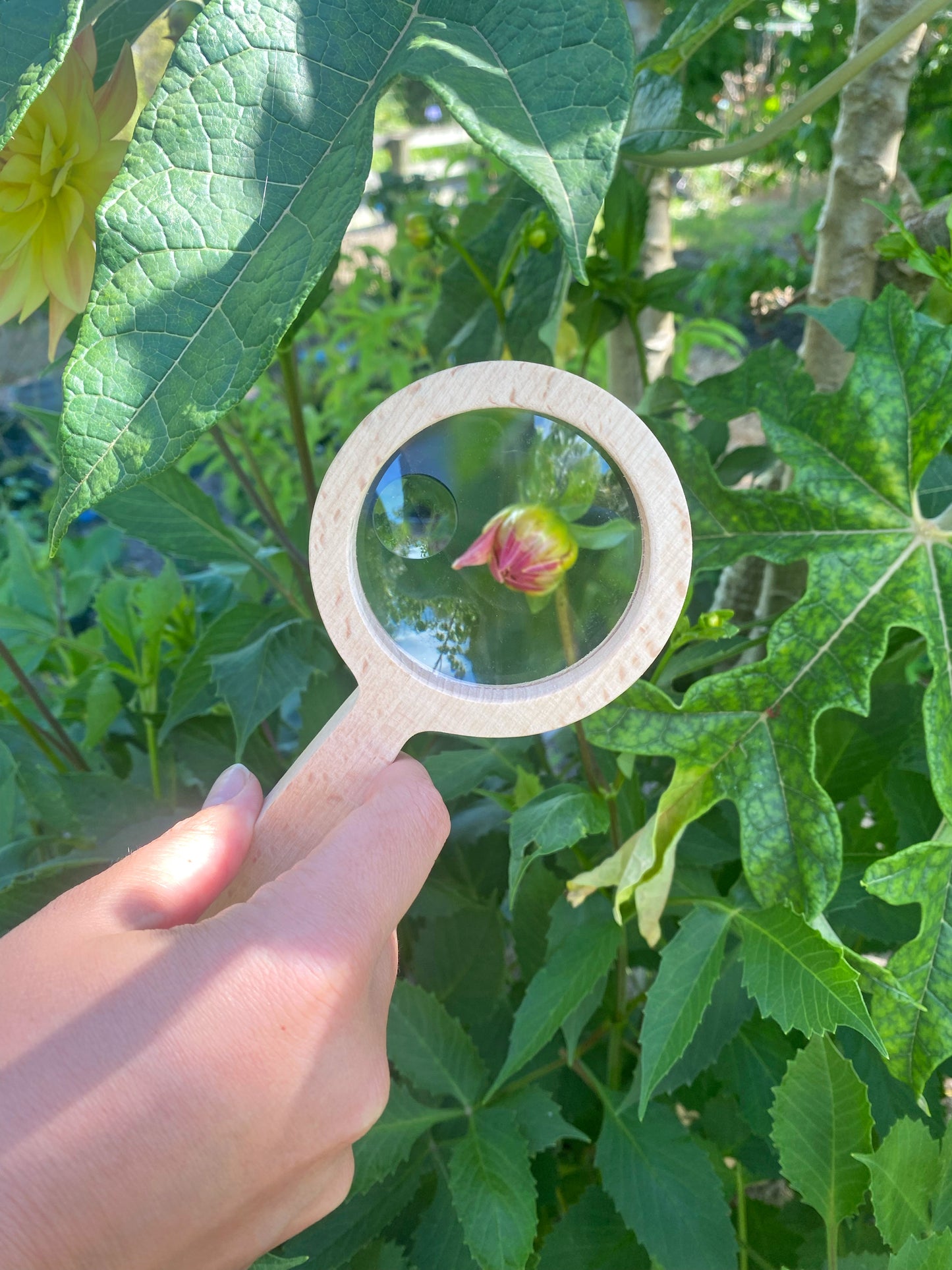 Kids Wooden Magnifying Glass