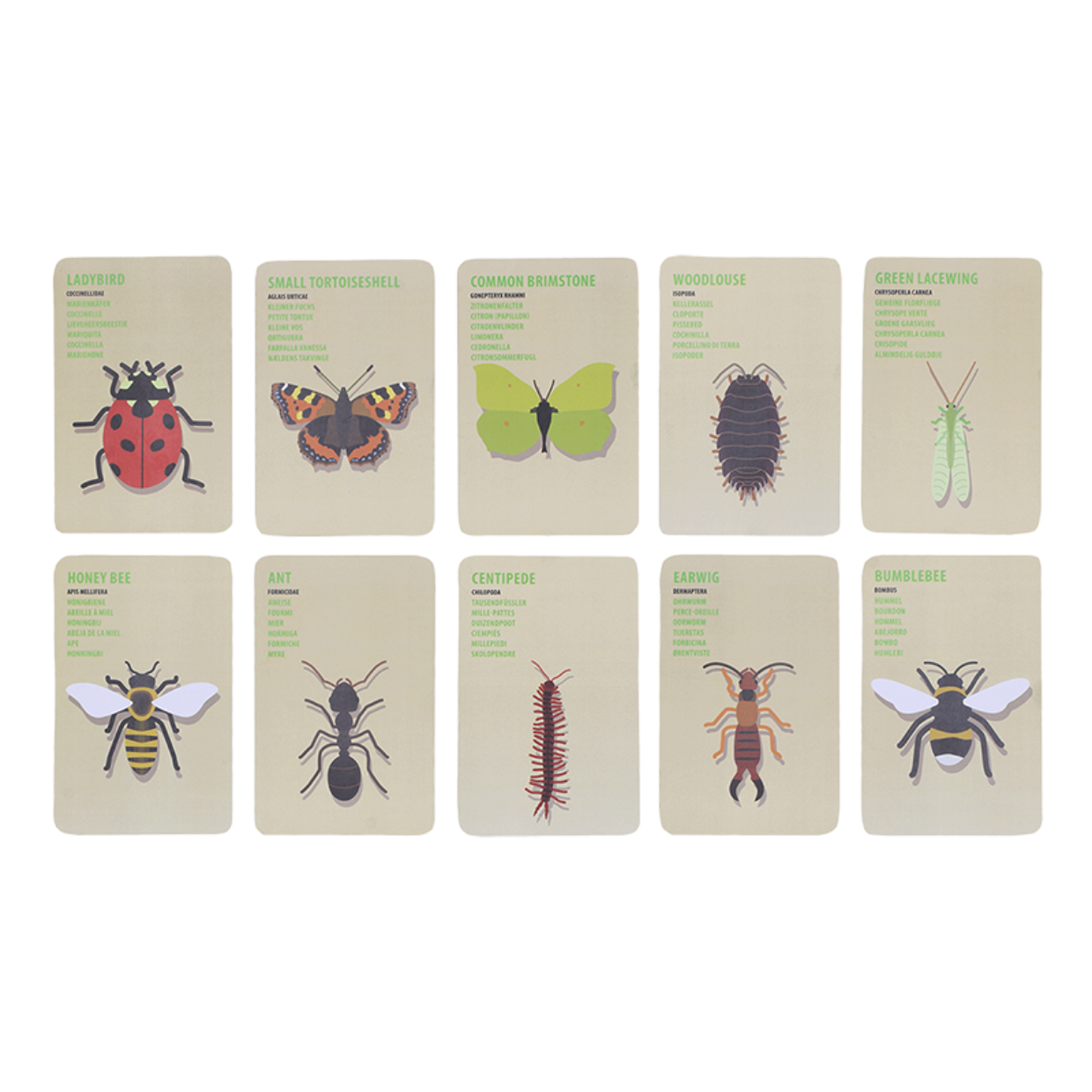 Kids Explorers Bag Insects