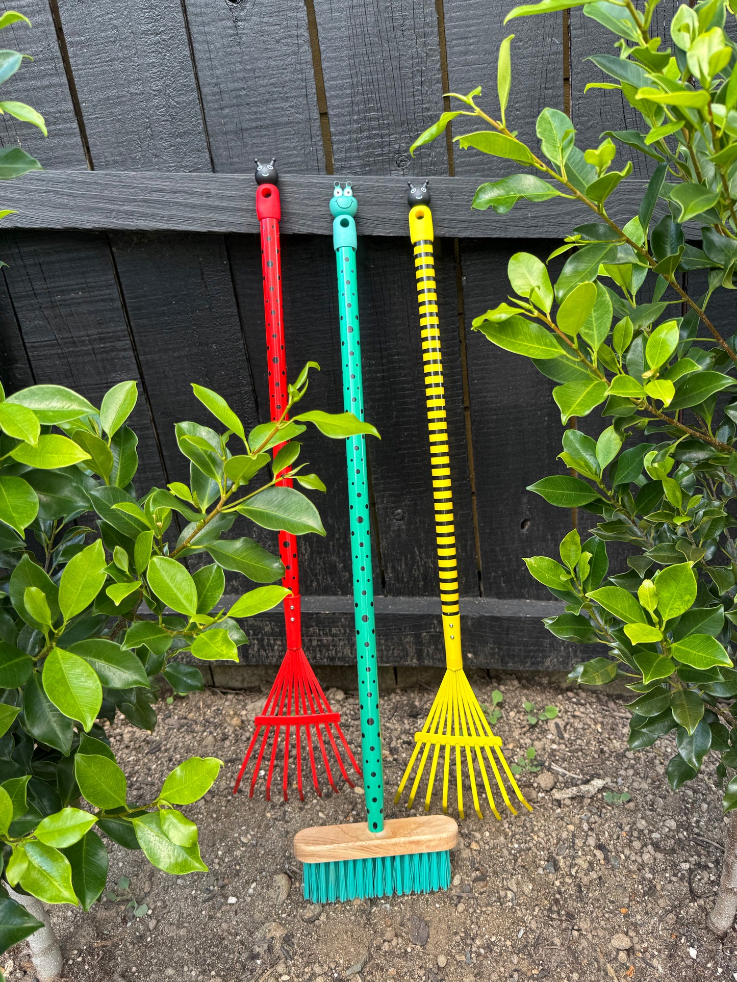 Kids Insect Rake Lady Bird