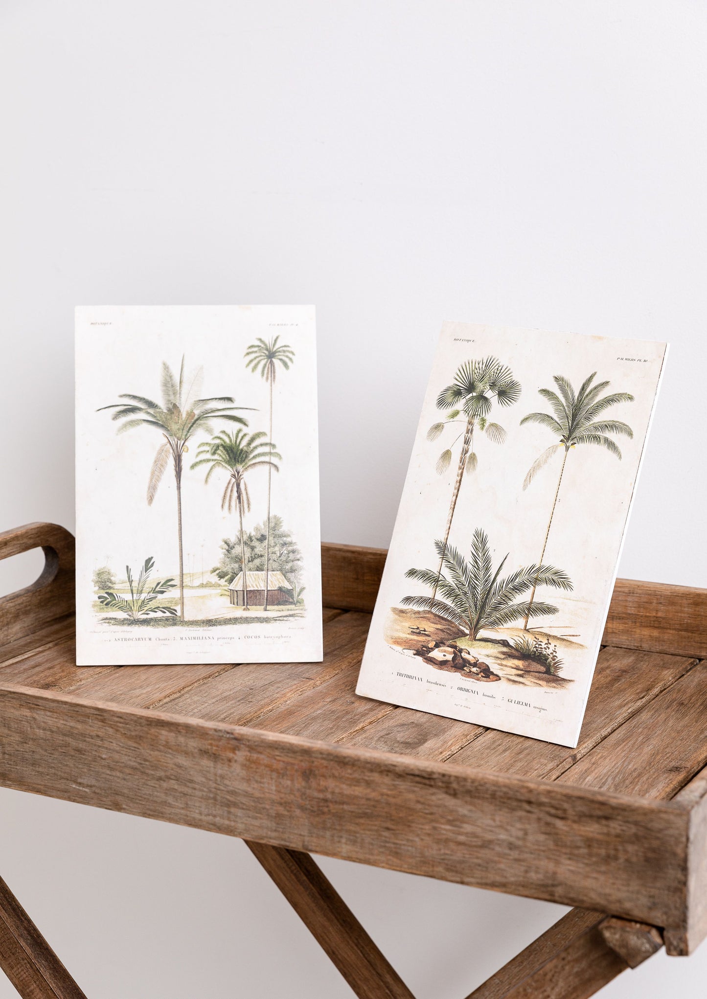 Palms Print 2 Trees