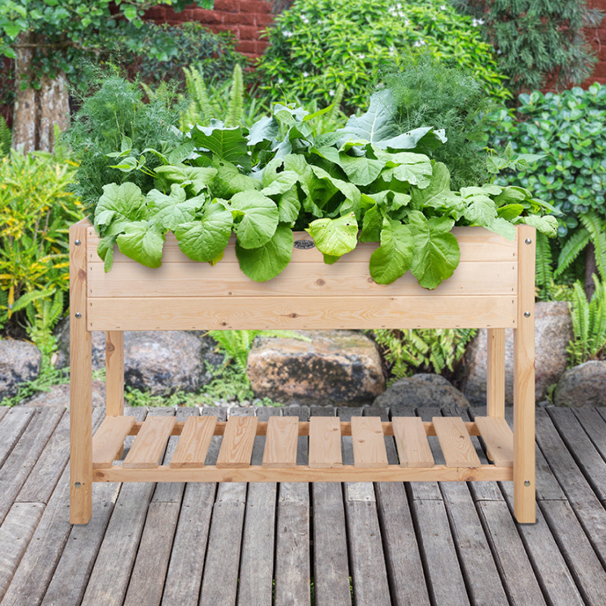 Raised Bed Rectangle Large