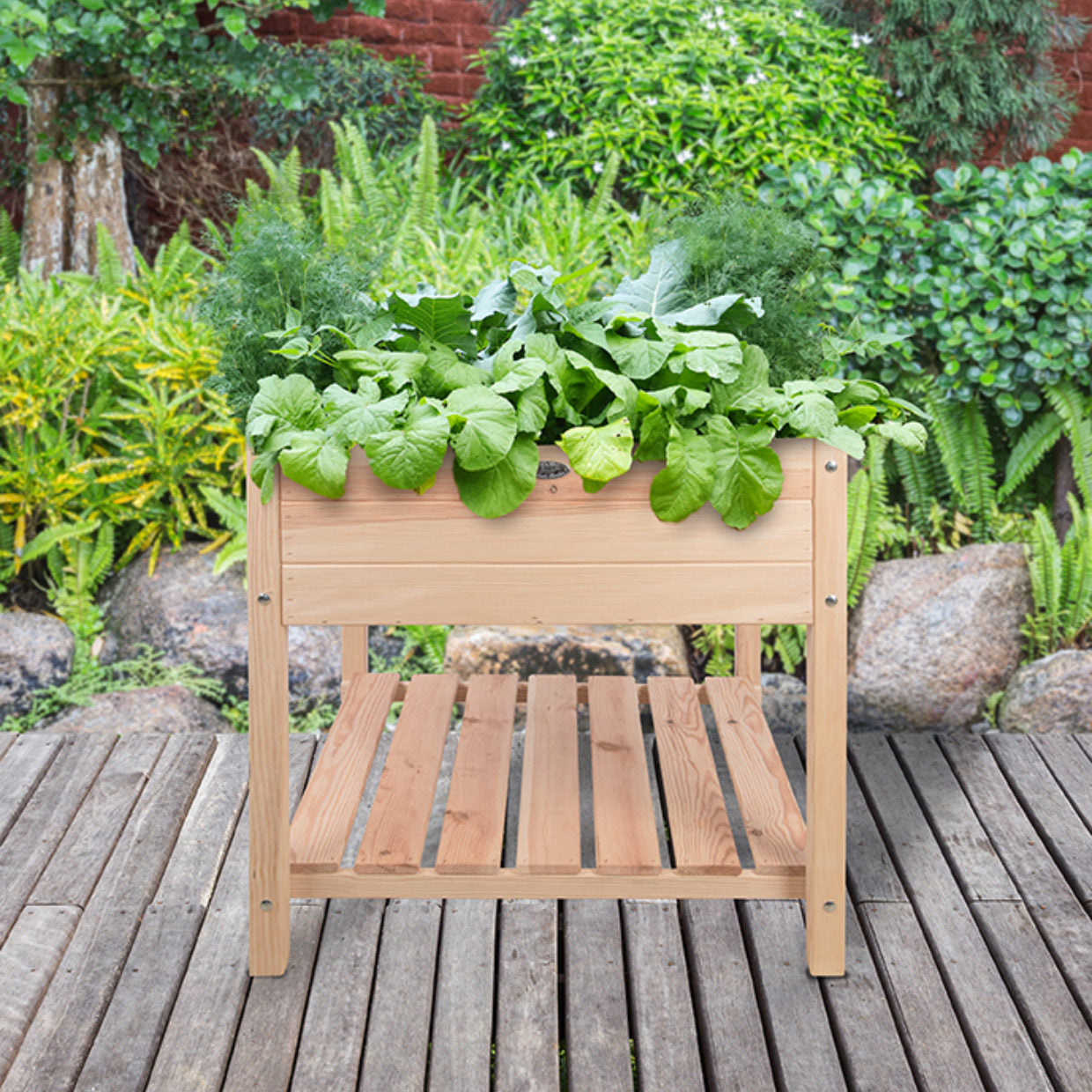 Raised Bed Rectangle Square