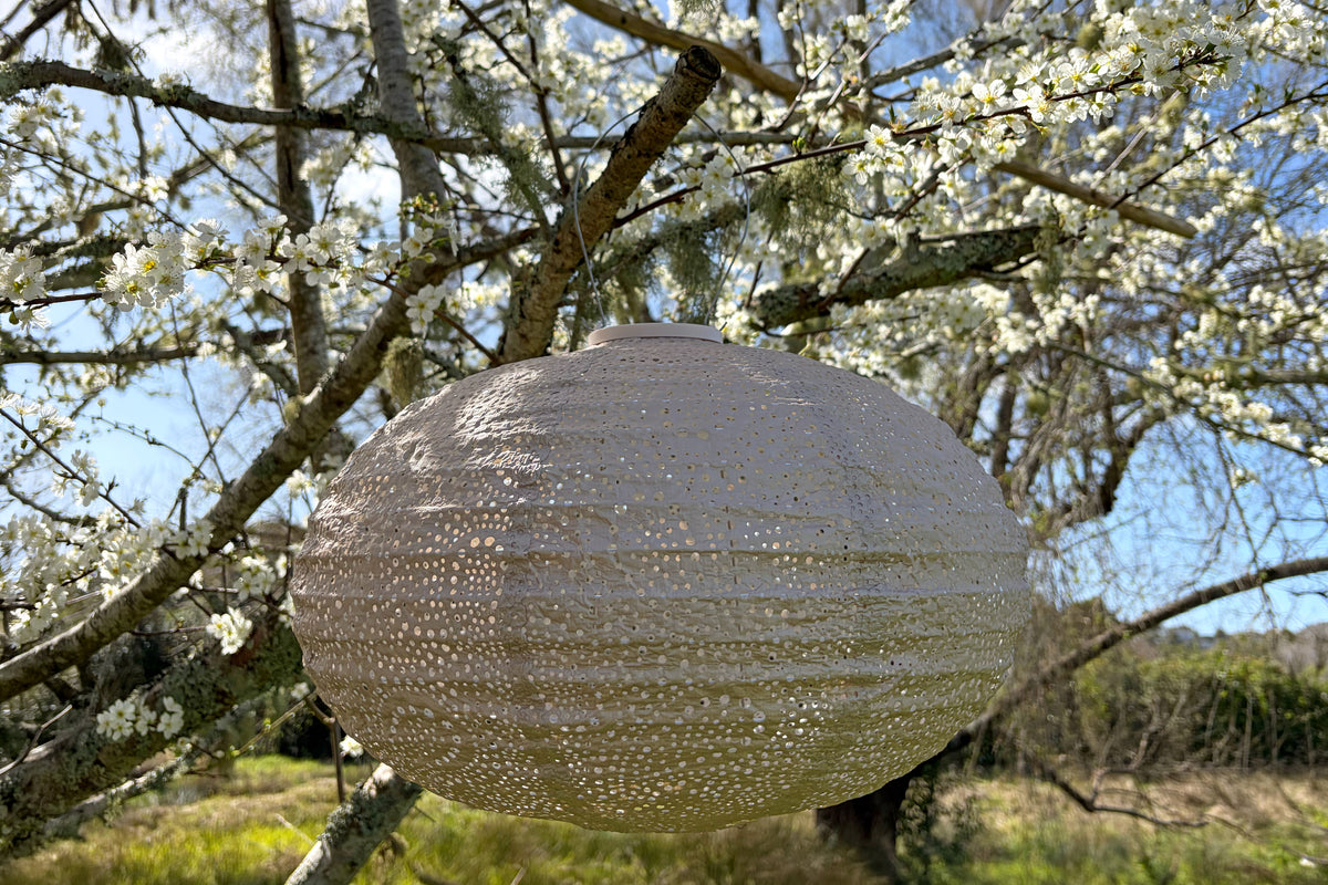 Lantern Oval 40cm Soft Blush Paisley