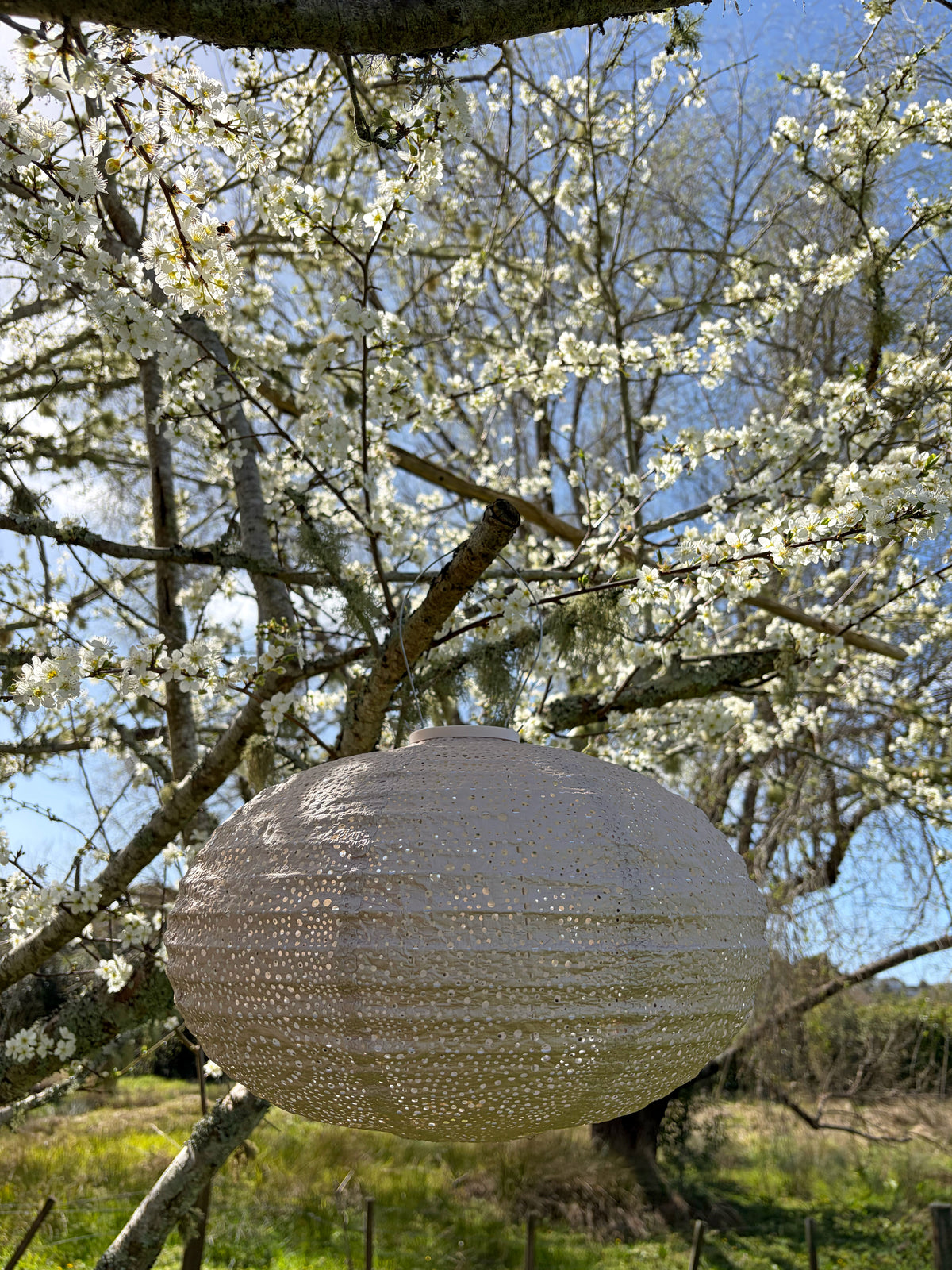 Lantern Oval 40cm Soft Blush Paisley