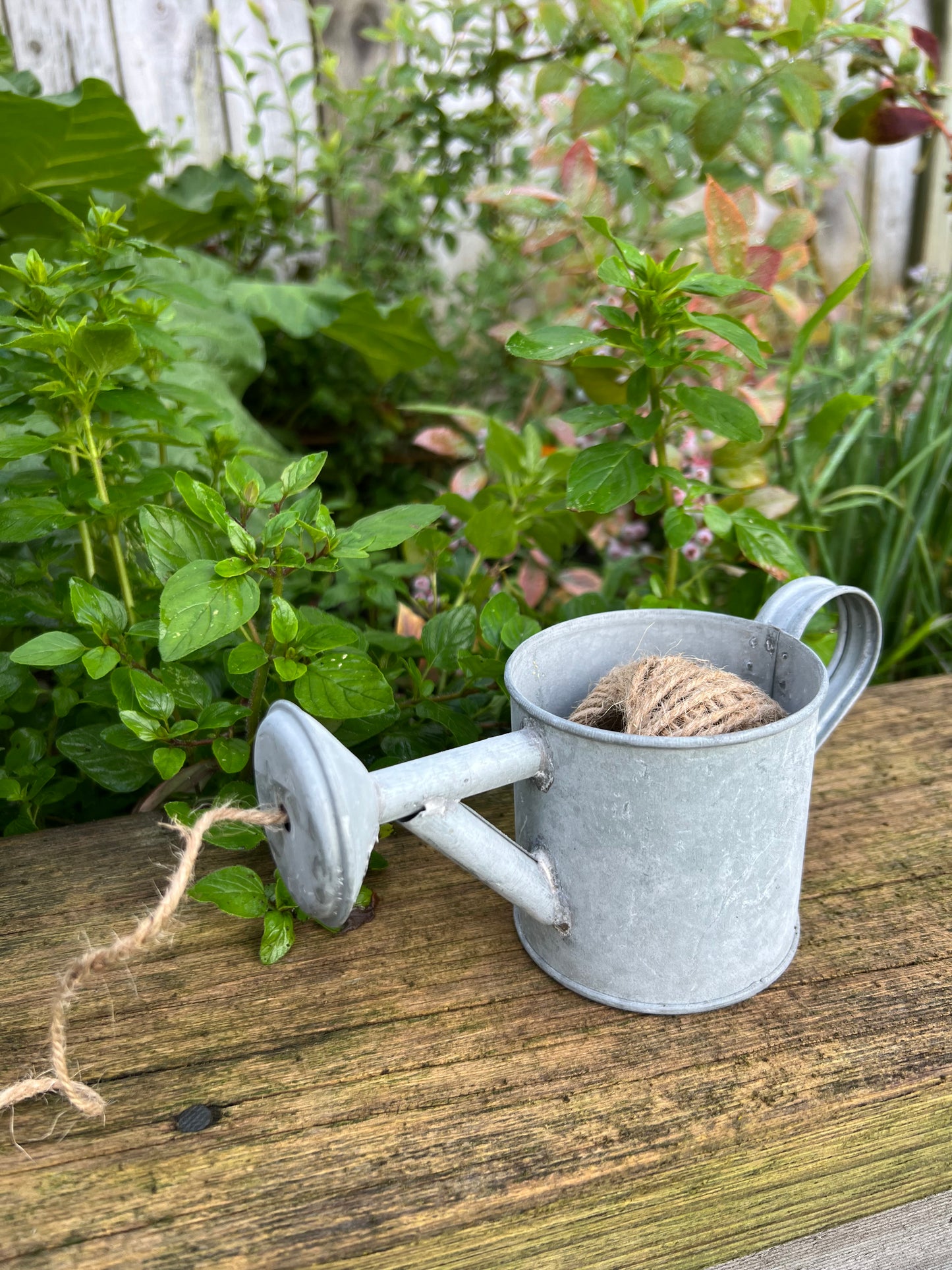 Old Zinc Rope Dispenser Watering Can
