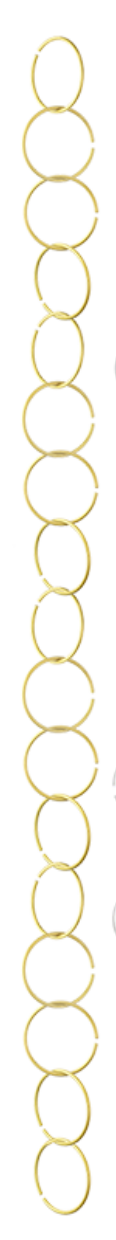 Indoor Plant Support Chain Gold Circle