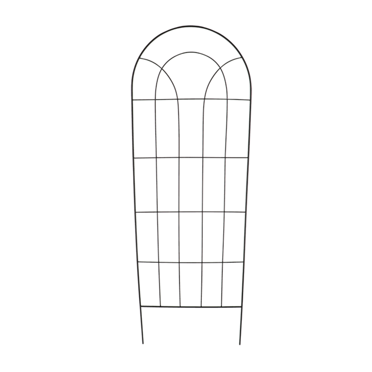 Plant Support Black Classic 170cm