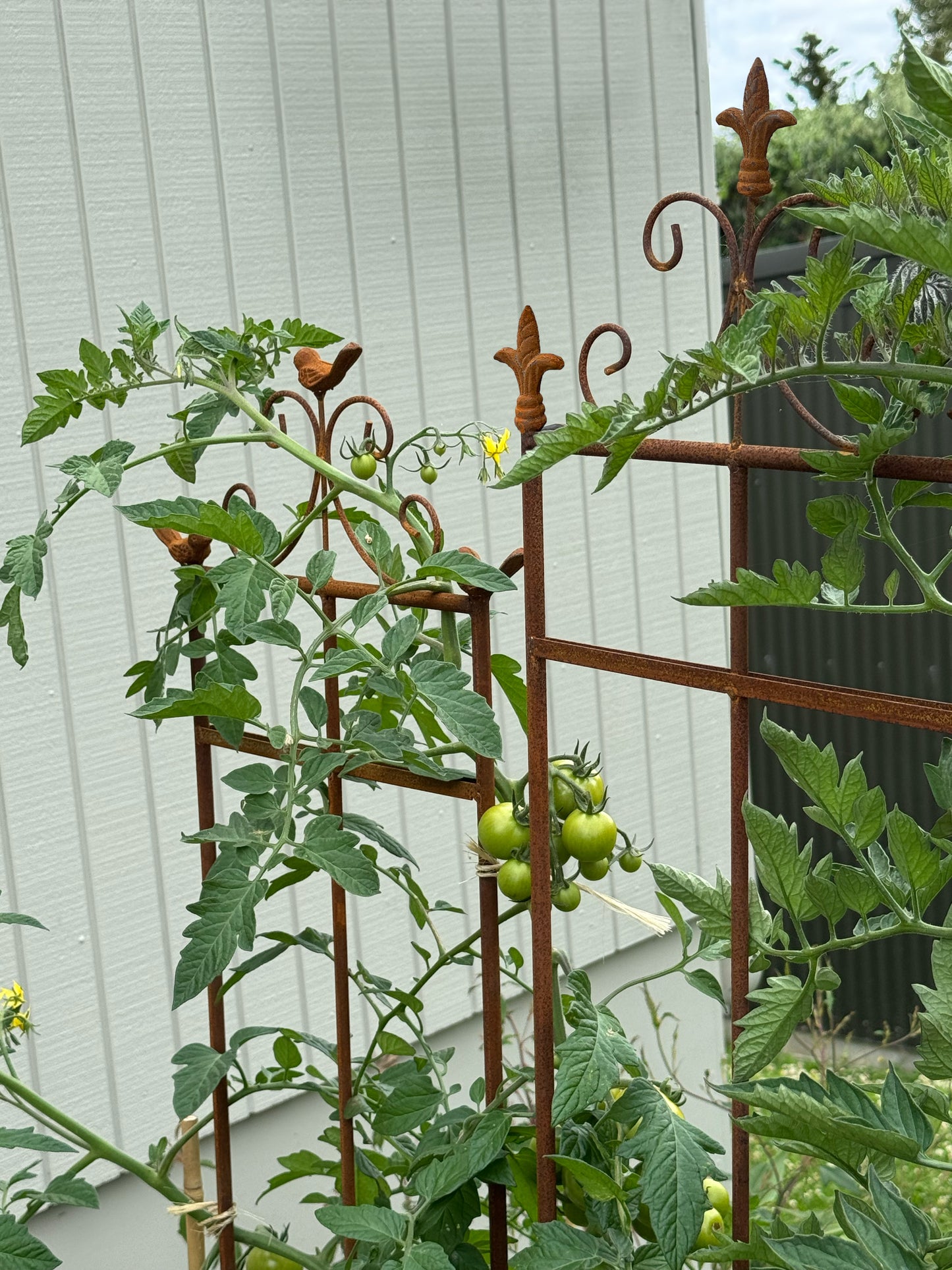 Cast Iron Plant Support 2D Bird