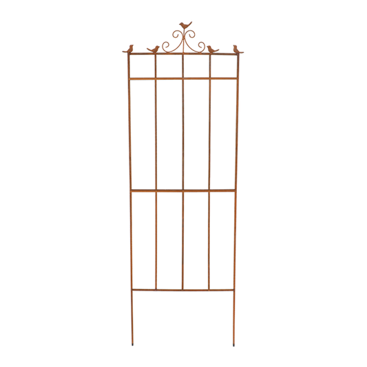 Cast Iron Plant Support 2D Bird Large