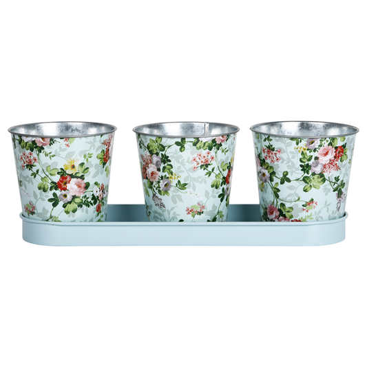 Floral Print 3 Pots in Tray