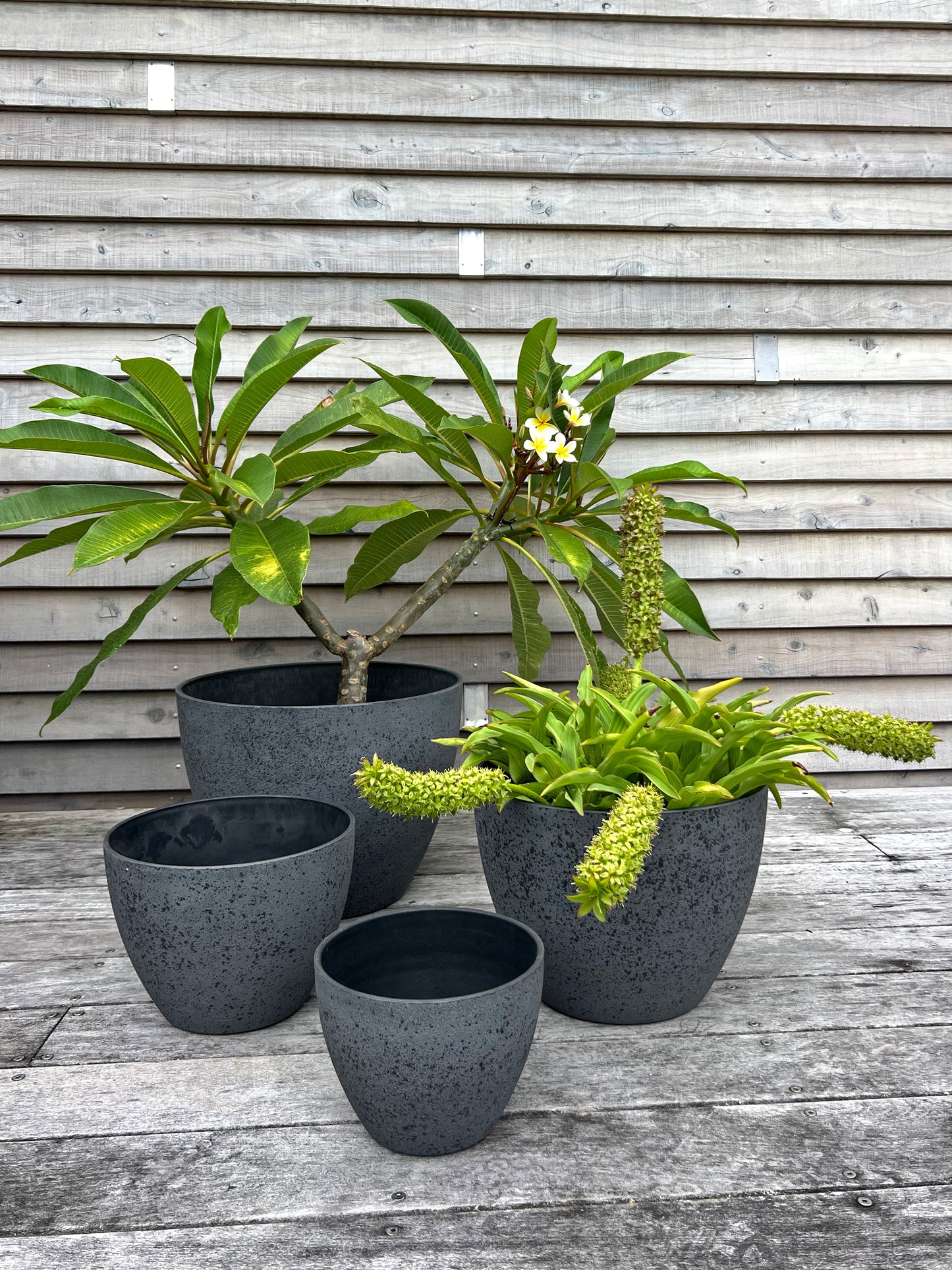 Nova Pot 'Grey' Small