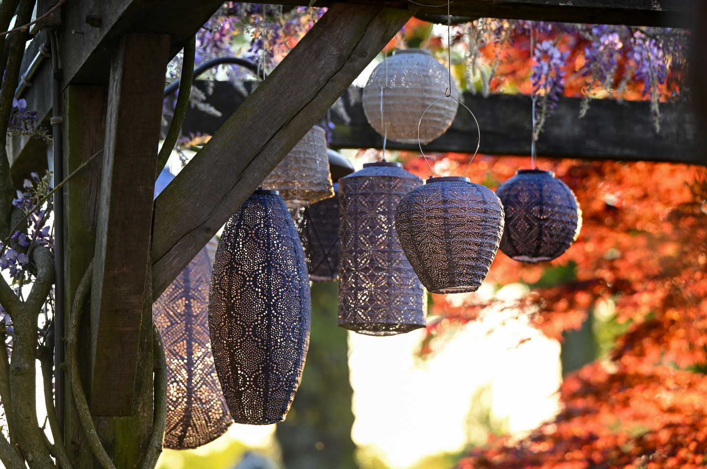Lumiz Lantern Balloon 20cm Mauve Purple Folia