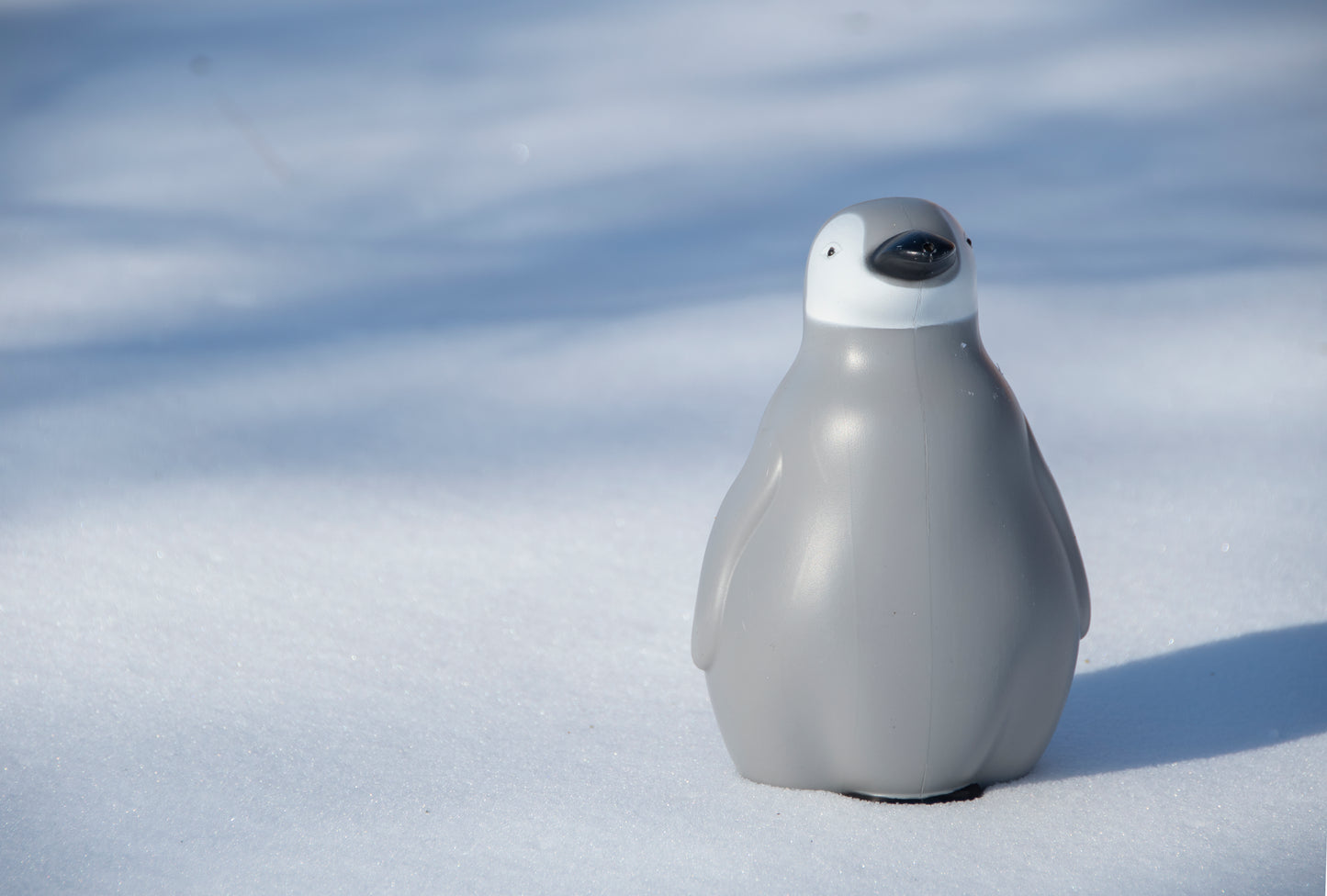 Watering Can Penguin