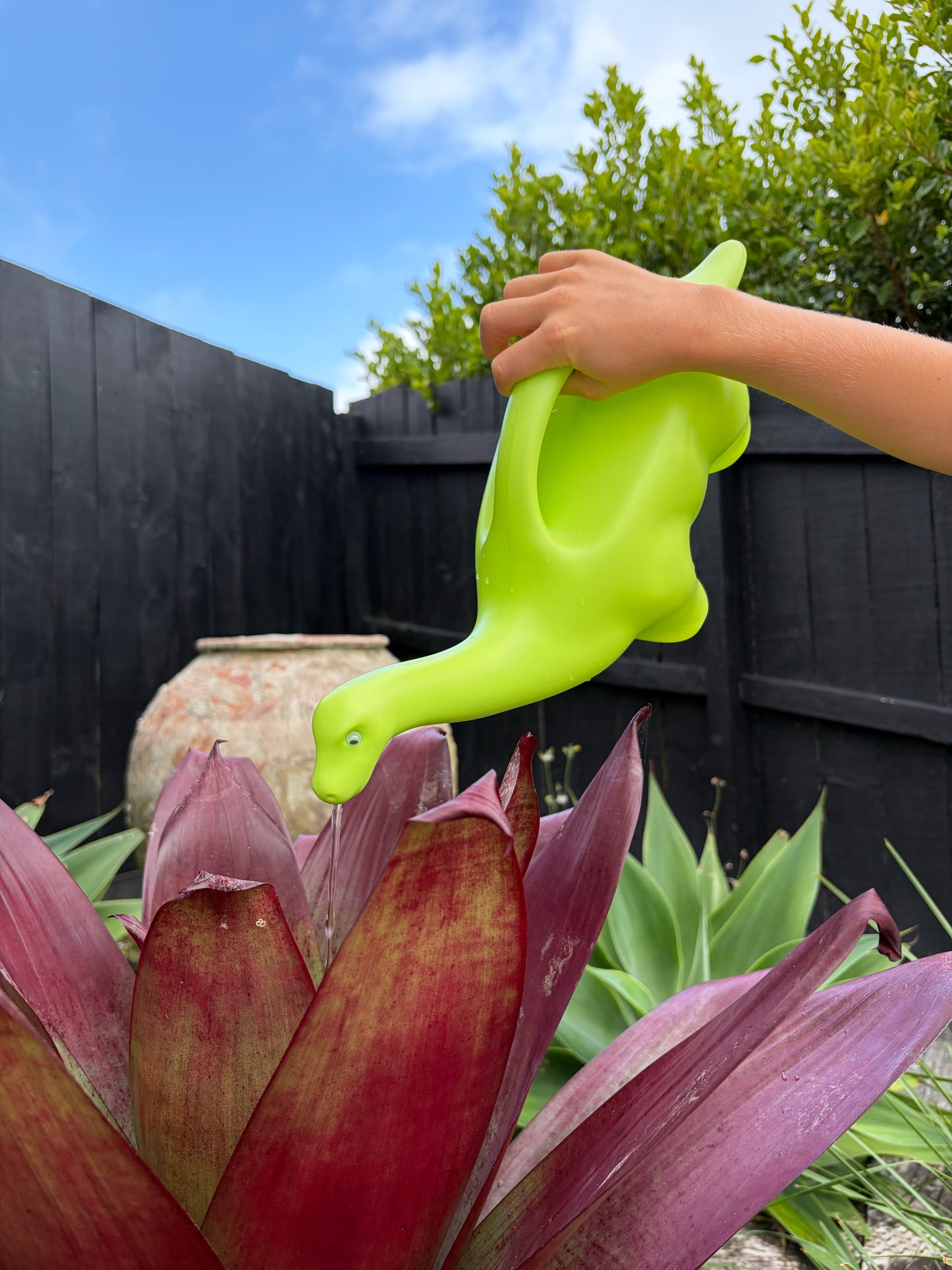 Watering Can Brontosaurus