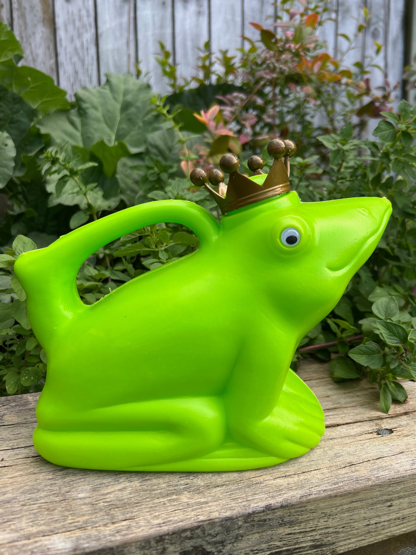 Watering Can Frog King