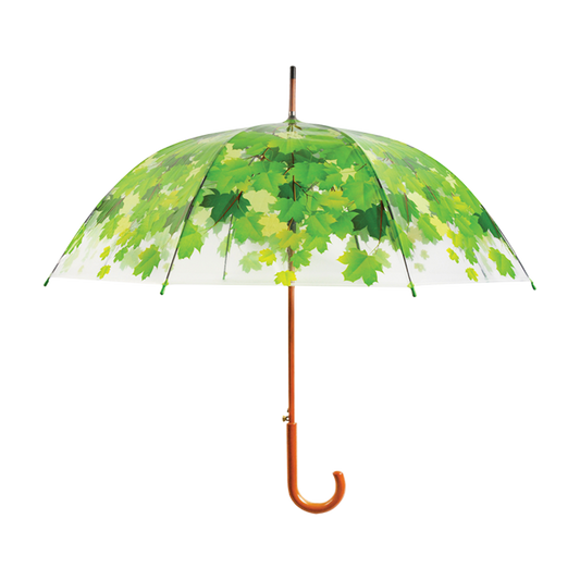 Umbrella Tree