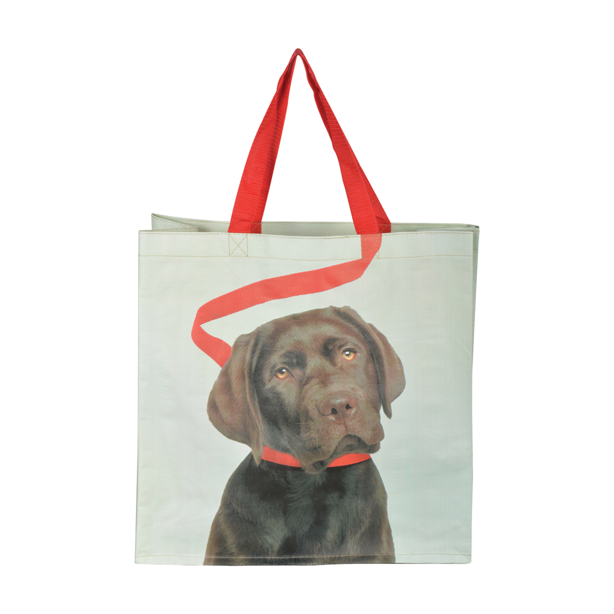 Shopping Bag Dog on Leash Labrador