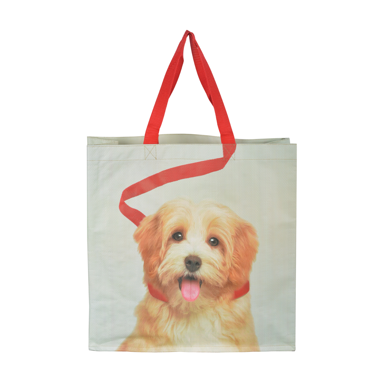 Shopping Bag Dog on Leash Cavoodle
