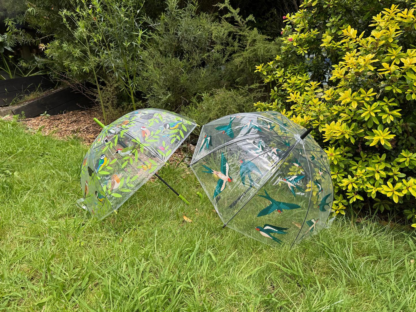 Umbrella Transparent Barn Swallows