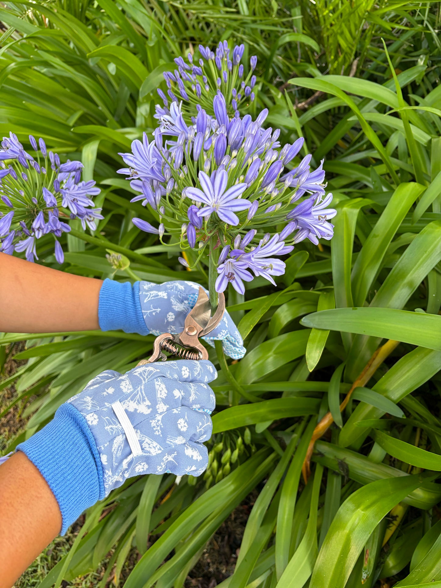 Wild Flower Garden Gloves Blue
