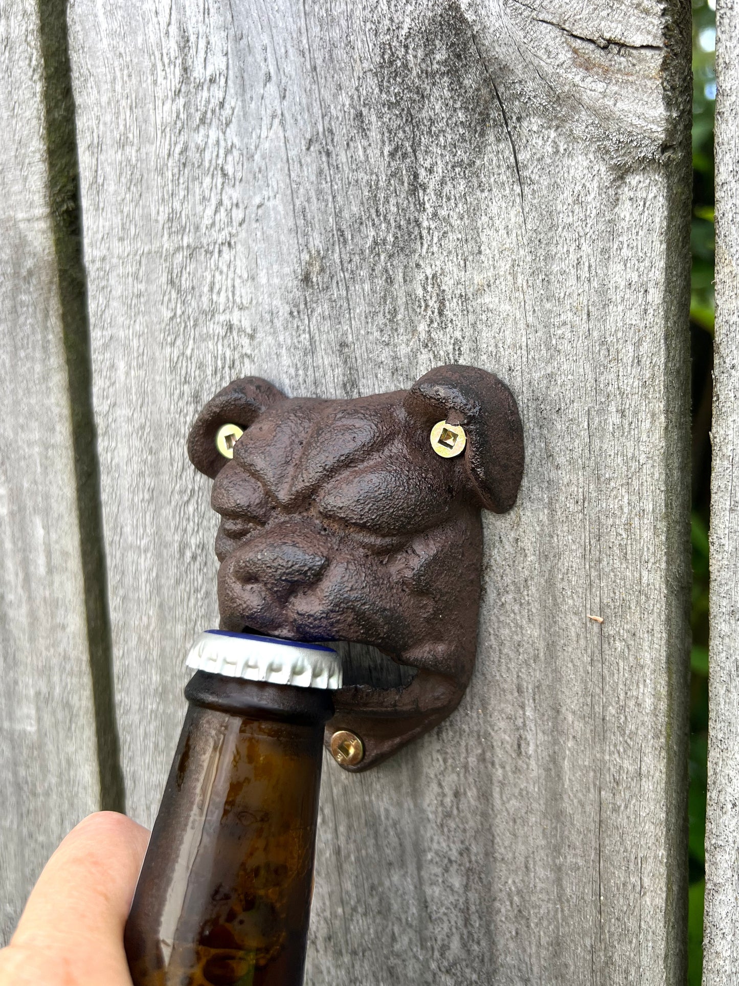 Cast Iron Bulldog Wall Bottle Opener