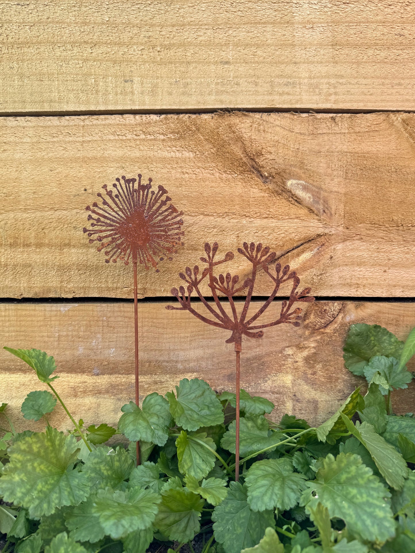Garden Decoration Dandelion on Stick 37cm