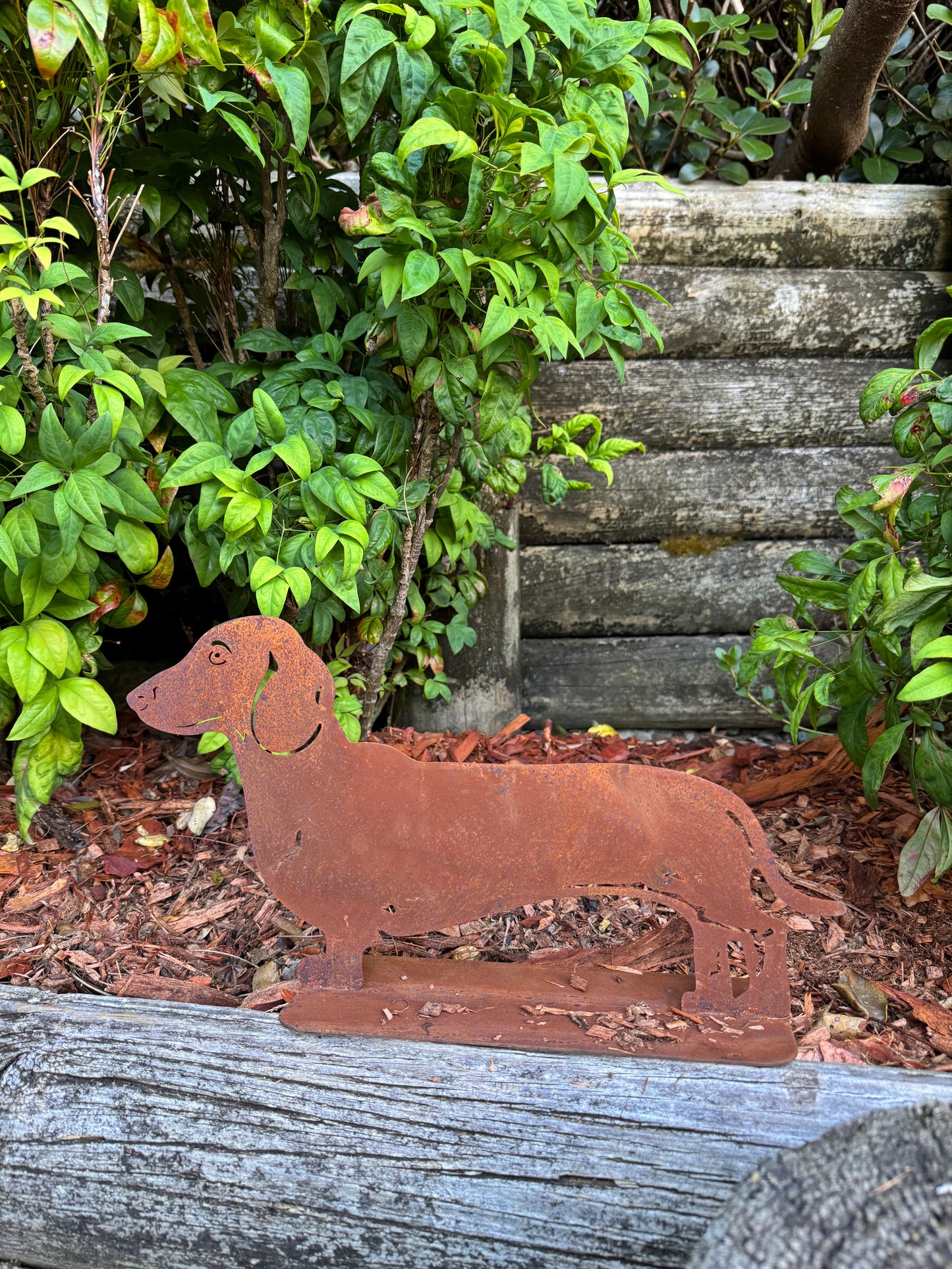 Garden Decoration Dachshund Standing
