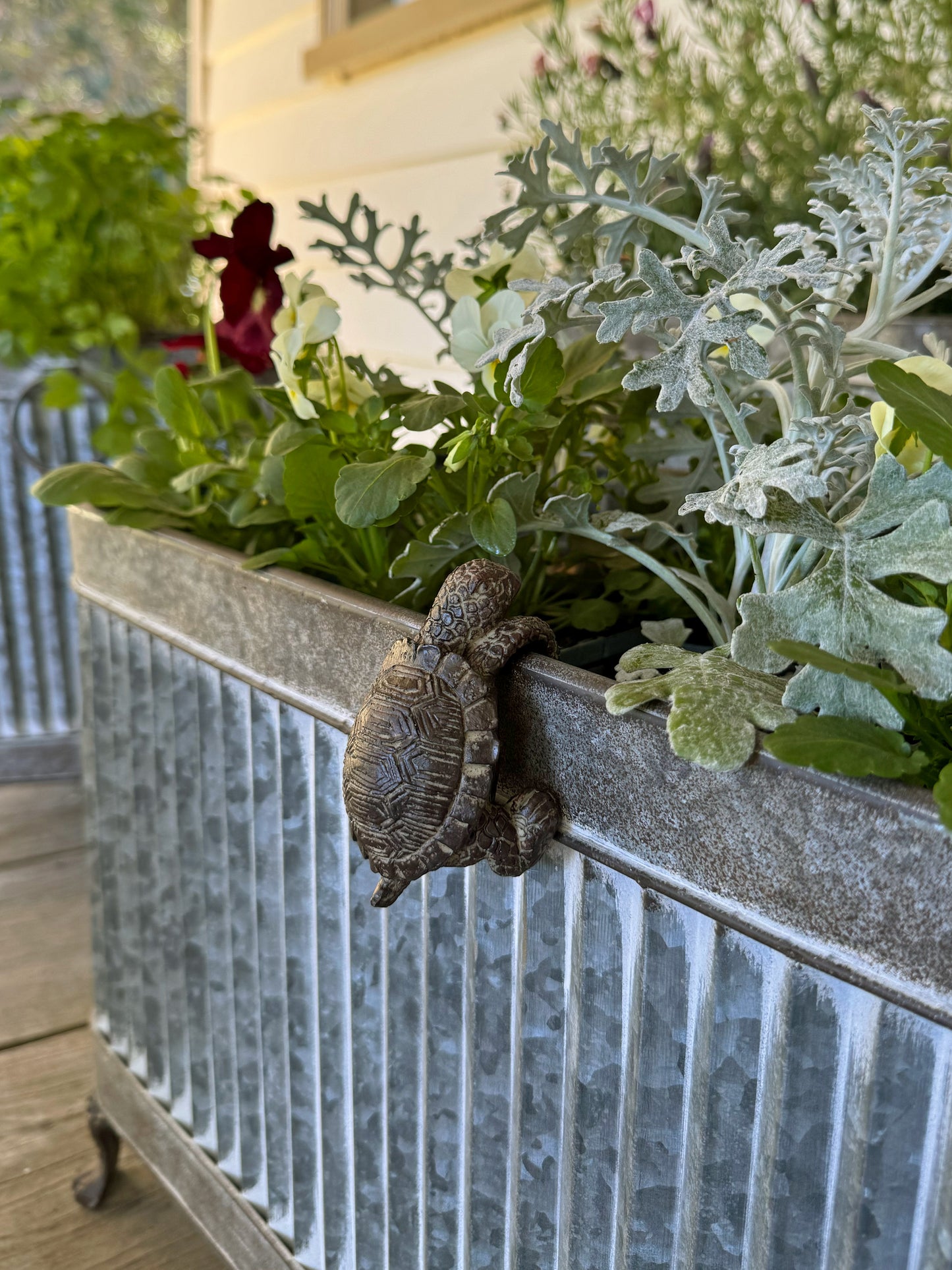 Pot Hanger Turtle