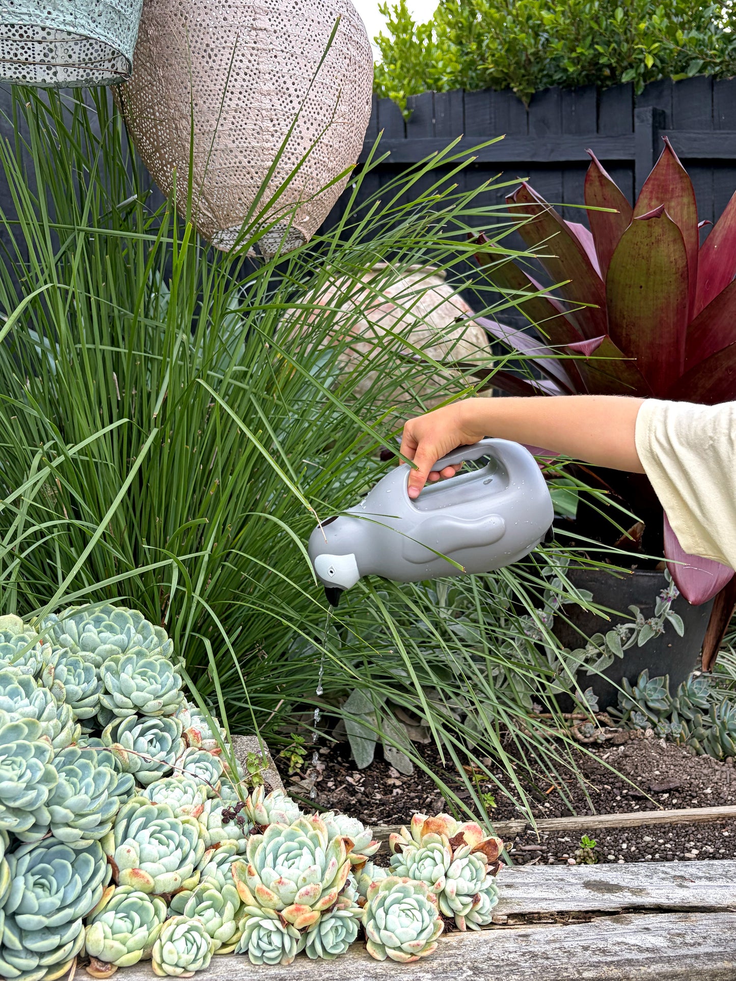 Watering Can Penguin
