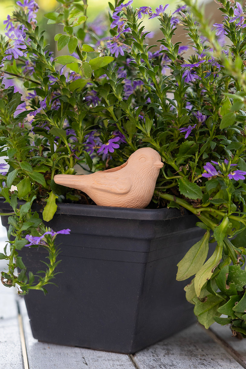 Plant Waterer Terracotta Bird