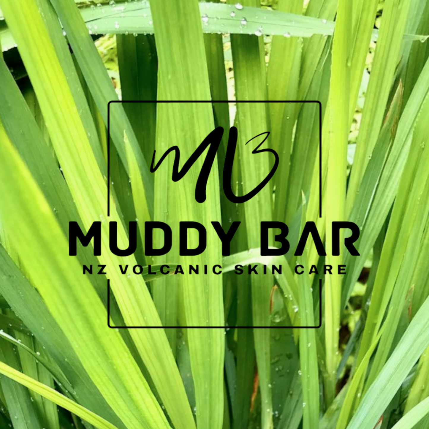 Muddy Bar Lemongrassy Artisan Soap