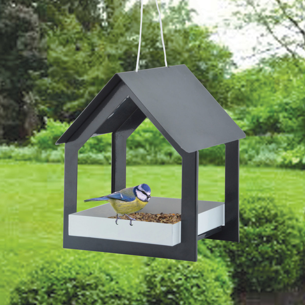 Bird Feeder Hanging Table