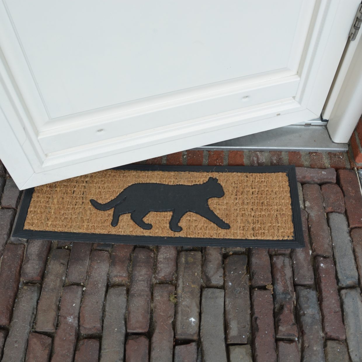 Doormat Cat Rubber