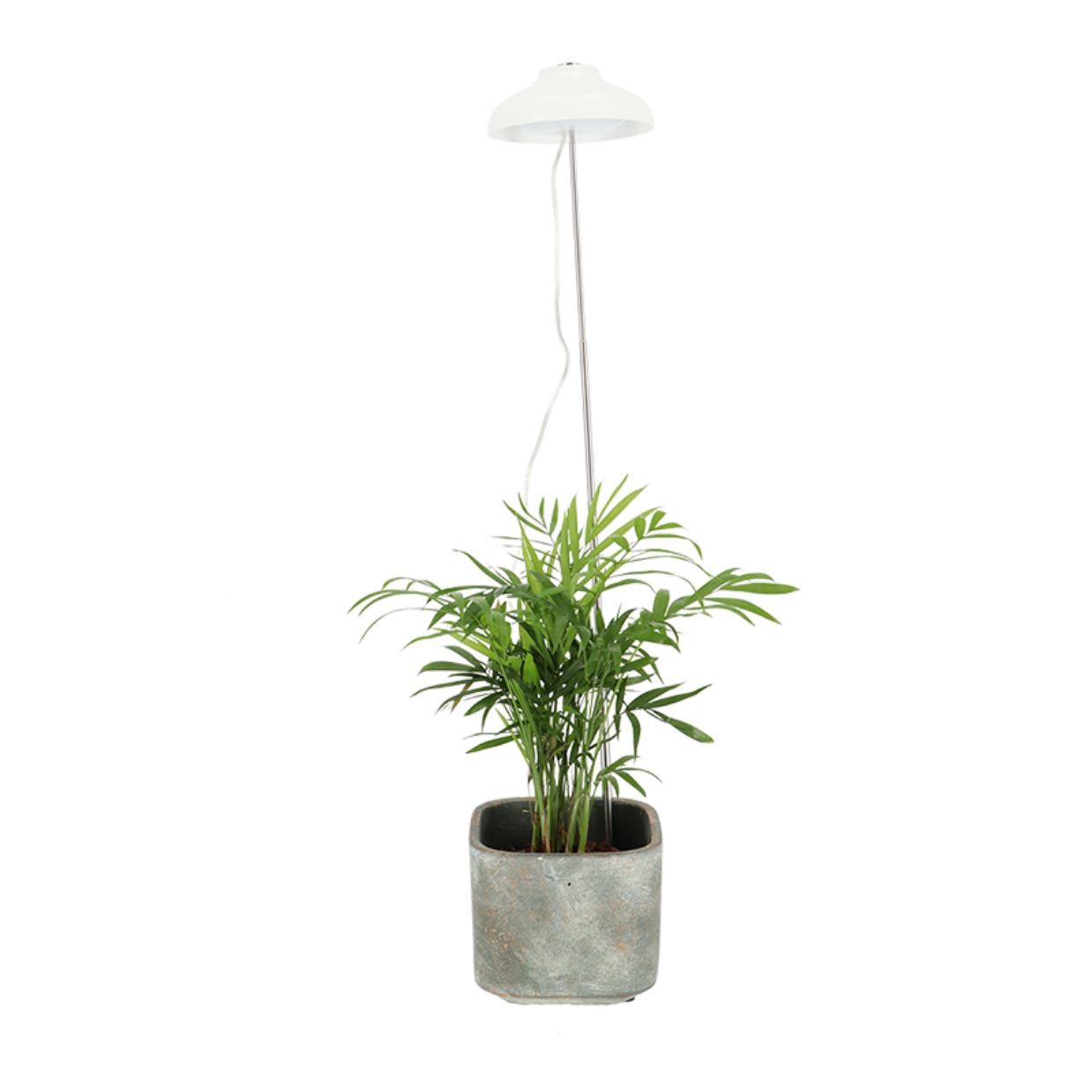 Plant Grow Lamp USB