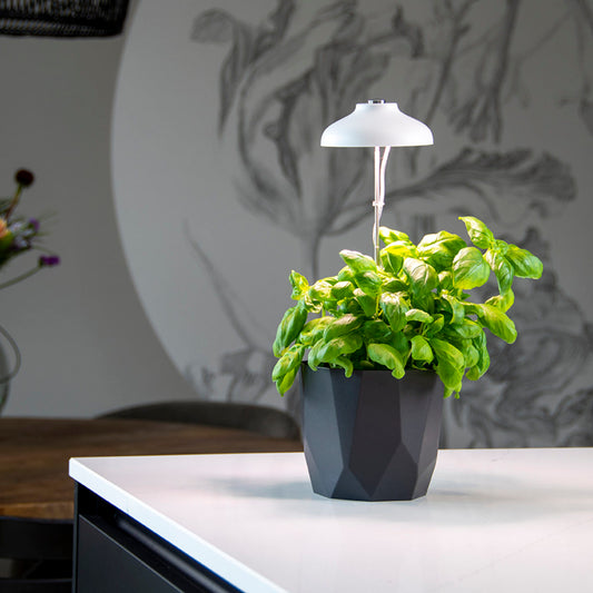 Plant Grow Lamp USB