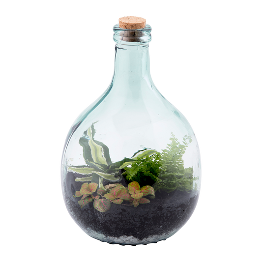 Terrarium Bottle 5L