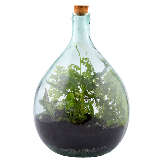 Terrarium Bottle 15L