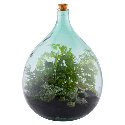 Terrarium Bottle 35L