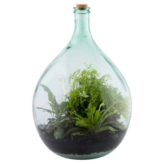 Terrarium Bottle 55L