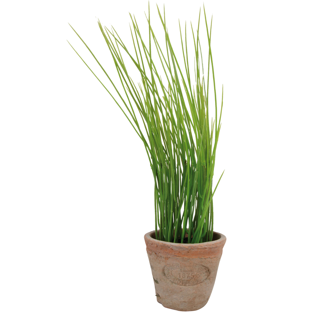 Artificial Chives In Terracotta Pot